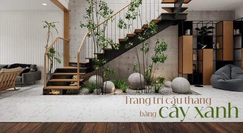 [Bật mí] 6 Cách trang trí cầu thang bằng cây xanh đơn giản mà đẹp